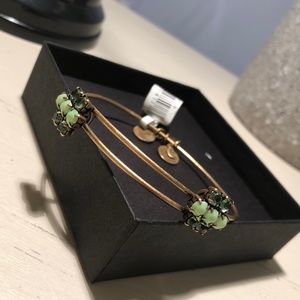 Alex and Ani Green Sparkler Bangle Bracelet